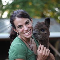 Holly Schweitzer