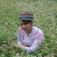 Nguyen Thu Ha (Ginny)