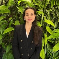 Javiera Martínez Collarte