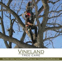 Vineland Office