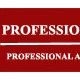 professional consultants