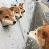 王铁波