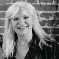 karin van der linde
