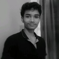 Mayank Sanhi
