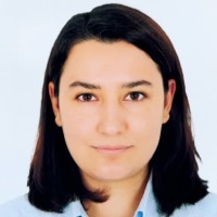 Nilüfer Nurtaç Memişoğlu