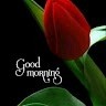 Saurabh Rai