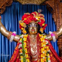 BHARAT BHUSHAN PATEL