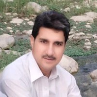 Bashir Hussain (P.E, BSC MEng)