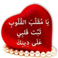Naveed Rajput