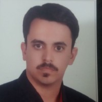 Navid Zolfaghary