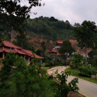 Tấn Lê