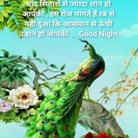 Vikash kumar Raj