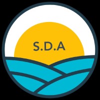 Sales and data Academy