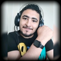 Hossam ElBoshy