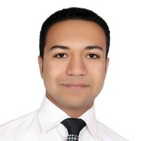 Mohamed R. Ibrahim