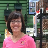 Lisa M. Herman