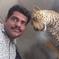 Raju Biradar