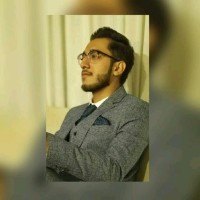 Syed Zain Ul Abideen