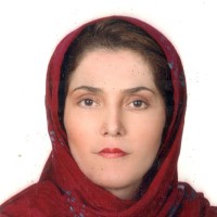Raheleh Kalantari