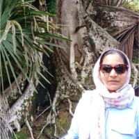 Sabeena Hanif
