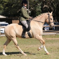 Toni Mc Donald-Crosley