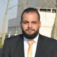 Seif Alden Alarnaouty