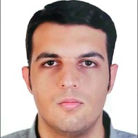 MohammadHossein Nikkhou