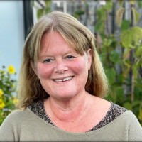 Petra Hammar