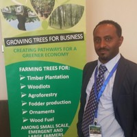 Mesfin Tsegaye