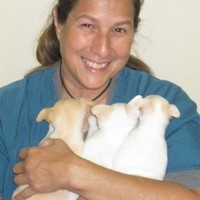 Donna Tevis
