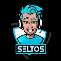 Seltos Gaming