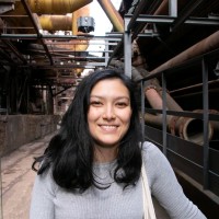 Alice Couque-Castelnovo