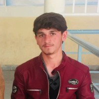 Aiwazagha Hamidy
