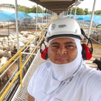 Welson Lima
