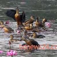 Shahidul Islam