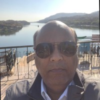 Raman Lehal