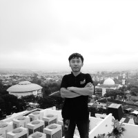 Robi Surya