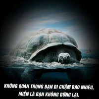 Do Thanh Tung