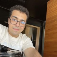 Mostafa M.Elmetwly