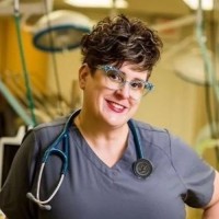 Jessica C. Wilson Hess Ms, Cvt, Vts (Saim)