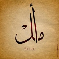 Amal ansari