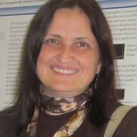 Ana Claudia Reis Schneider