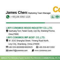 SHICHAO CHEN