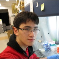 Paul Bolduc