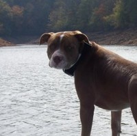 Tucker James