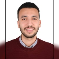 Mohamed Hamdy Riad