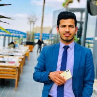Mostafa Elhady