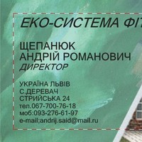 Андрій фітоплита