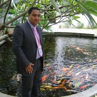 Ramy Mikhael