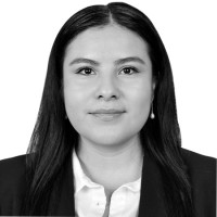 Abigail Guadalupe Velázquez Sánchez